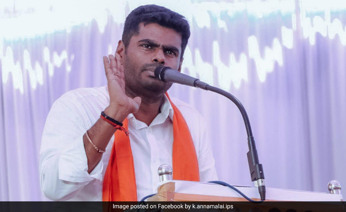 "If The Party Tells Me...": Tamil Nadu BJP Chief On Contesting 2024 Polls