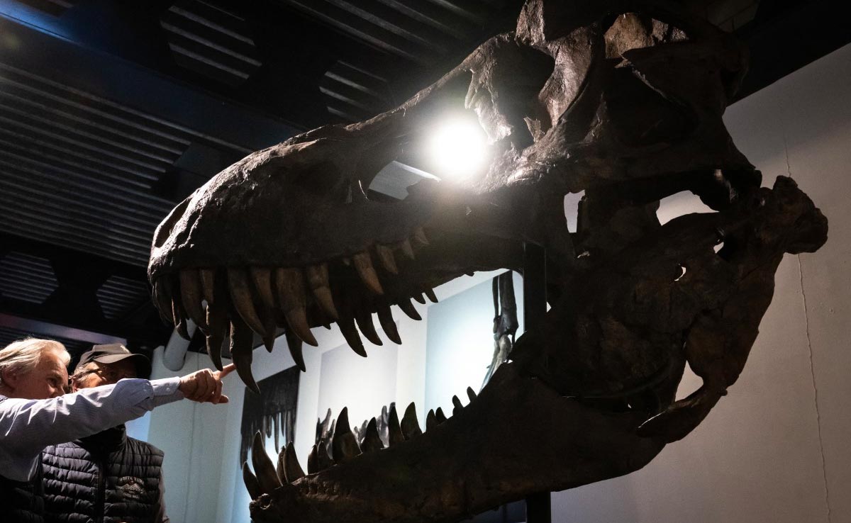 Trinity The T-Rex Claws In More Than $6 Million