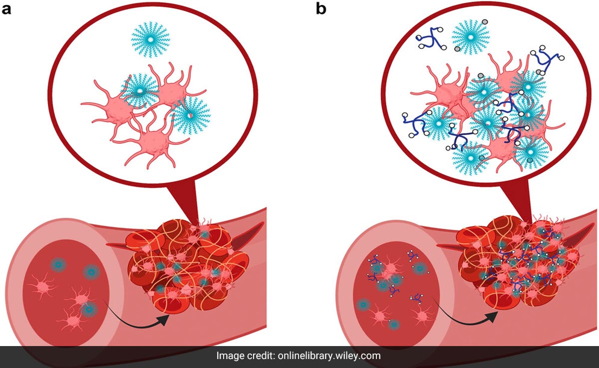 Scientists Make Synthetic Blood Clots That Could Stop Internal Bleeding To Save Lives