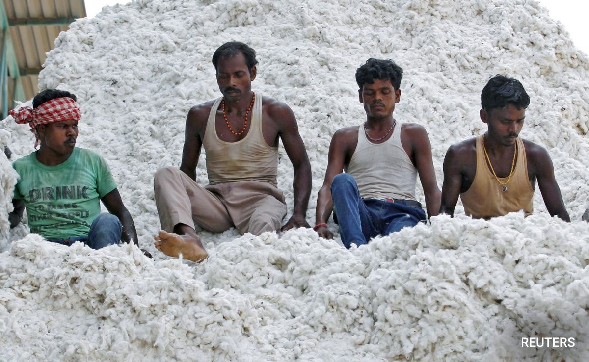 India's Sliding Cotton Exports To Match Imports For First Time In Decades: Report