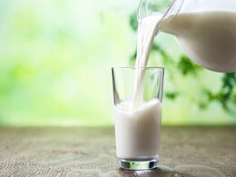 Lactose-Free Diet: दिखे या न दिखे इन चीजों में भी होता है दूध, Milk Allergy की है शिकायत तो रहें दूर Lactose-Free Diet: दिखे या न दिखे इन चीजों में भी होता है दूध, Milk Allergy की है शिकायत तो रहें दूर