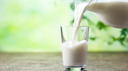 World Milk Day 2023: 5 Essential Safety Tips For Proper Milk Handling