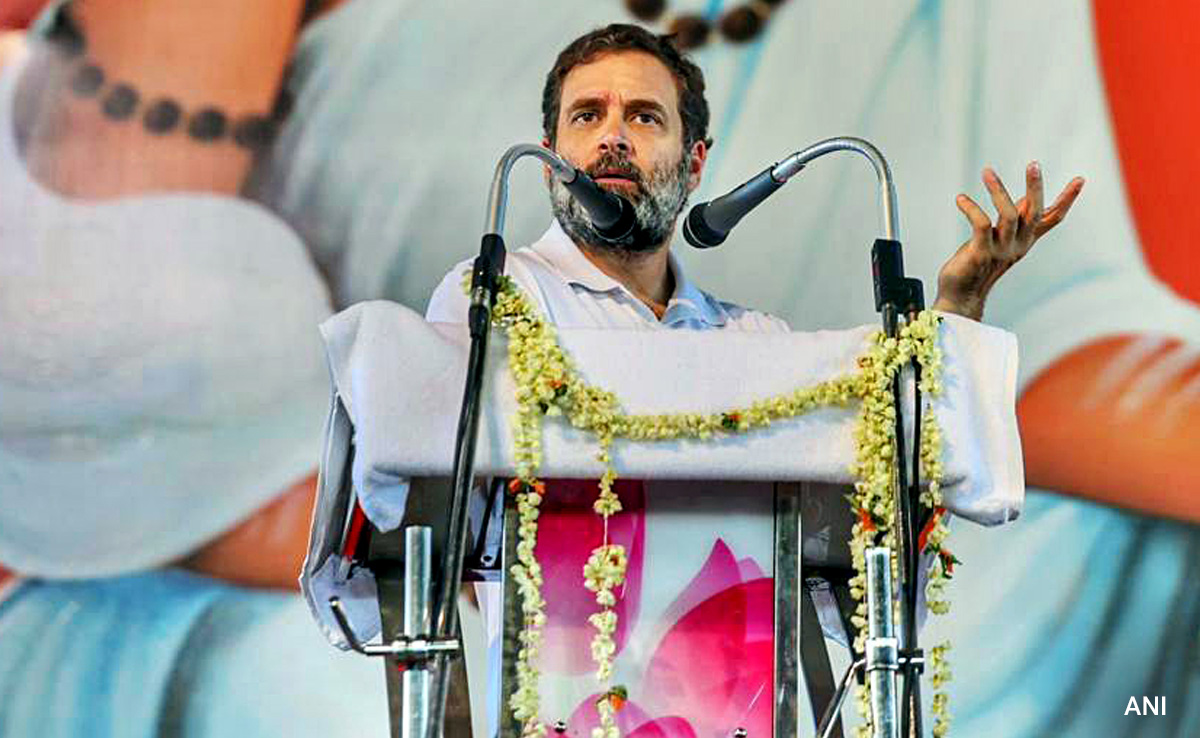 "Only Talks About Himself": Rahul Gandhi On PM Modi's Karnataka Rally