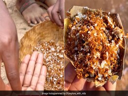 इस जिले में लोग बड़े चाव से खाते हैं ‘लाल चींटी की चटनी’, लड़की ने बताया कैसा है स्वाद? लोगों को उल्टी आ गई इस जिले में लोग बड़े चाव से खाते हैं ‘लाल चींटी की चटनी’, लड़की ने बताया कैसा है स्वाद? लोगों को उल्टी आ गई