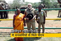 पीएम मोदी बांदीपुर रिजर्व में ऑस्कर विजेता फिल्म में काम कर चुके 'रघु' से भी मिले पीएम मोदी बांदीपुर रिजर्व में ऑस्कर विजेता फिल्म में काम कर चुके 'रघु' से भी मिले