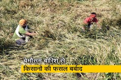 बेमौसम बारिश से बेहाल किसानों को सरकार से मदद की आस बेमौसम बारिश से बेहाल किसानों को सरकार से मदद की आस