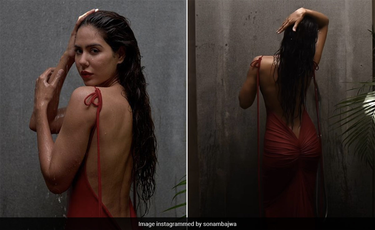 We've Got Sonam Bajwa's Back In A Sensational Scarlet Backless Dress