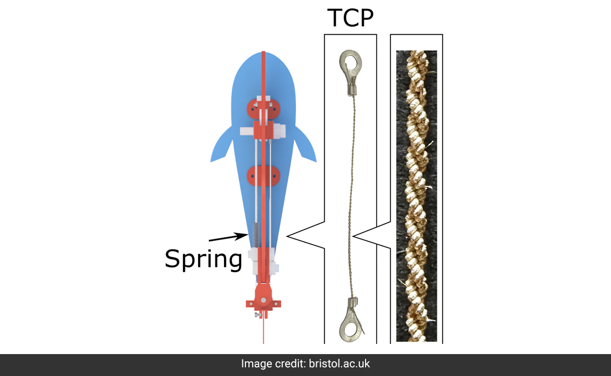Scientists Create Robot Fish With Fins Which May Help In Underwater Exploration