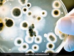 High Levels Of Antibiotic Resistant Superbugs In Delhi Air Posing Public Health Risks: Study