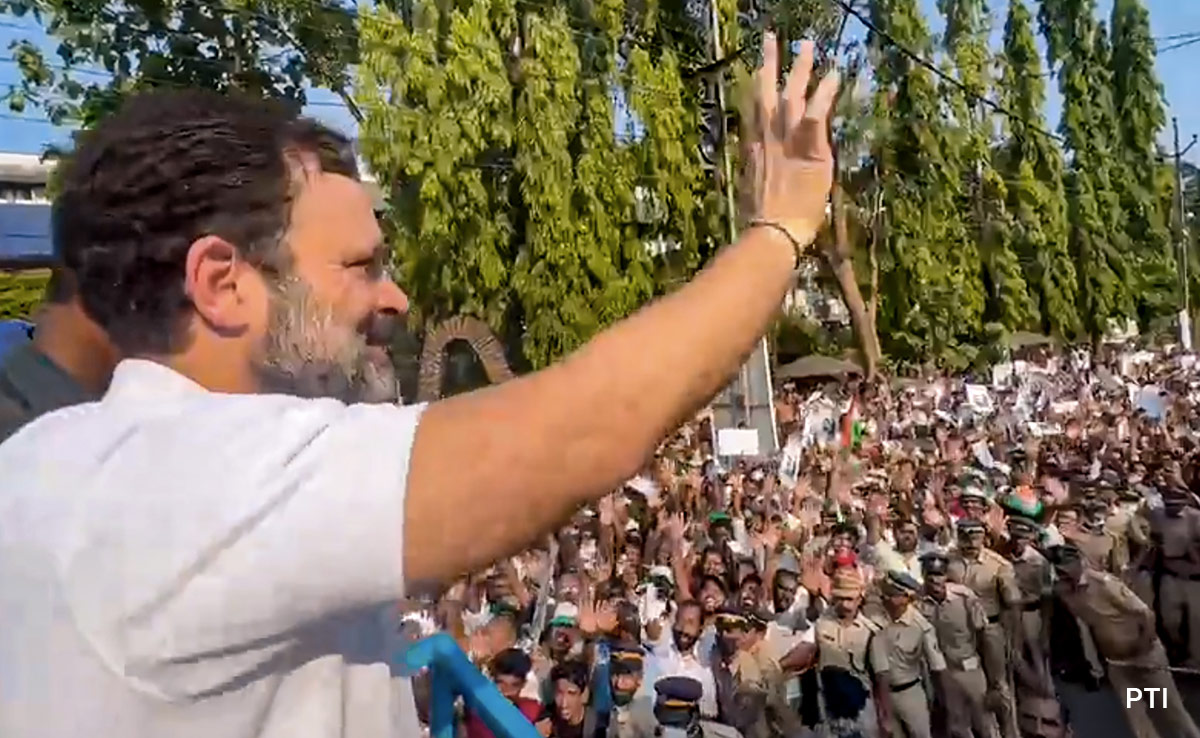 BJP Lurks, INDIA vs INDIA Battle As Rahul Gandhi Defends Wayanad Seat