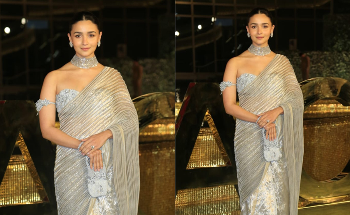 Pure Artistic Perfection Is When Alia Bhatt Stuns Us In A Pleated <i>Saree</i>