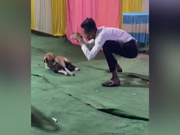 Dog के सामने नाग बनकर डांस कर रहा था शख्स, तभी हुआ कुछ ऐसा जिसे देखकर हैरान हो जाएंगे Dog के सामने नाग बनकर डांस कर रहा था शख्स, तभी हुआ कुछ ऐसा जिसे देखकर हैरान हो जाएंगे
