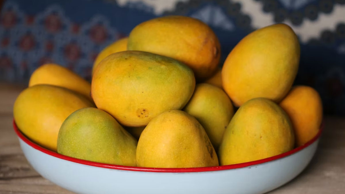 2 Brothers in Jharkhand Killed As Plucking Mangoes Leads To Clash With Another Group