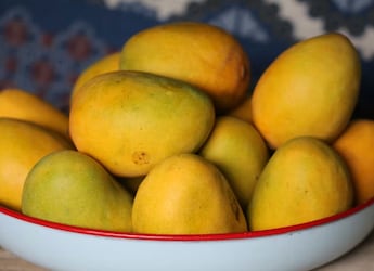 What Happens When You Eat A Mango Every Day? Nutritionist Reveals What Happens When You Eat A Mango Every Day? Nutritionist Reveals