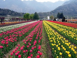 J&K Throws Open Key Tourist Destinations Months After Pahalgam Terror Attack