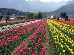Omar Abdullah Thanks Amit Shah As Tourist Sites Are Reopened In J&K