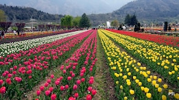 Omar Abdullah Thanks Amit Shah As Tourist Sites Are Reopened In J&K