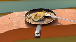Viral Video: Man Uses Scorching Sun To Cook Egg In Bengal