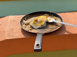 Viral Video: Man Uses Scorching Sun To Cook Egg In Bengal