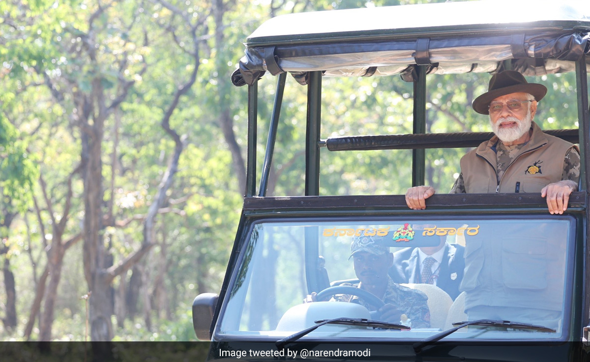 PM Modi Shares More Pictures Of "Amazing" Visit To Bandipur Tiger Reserve