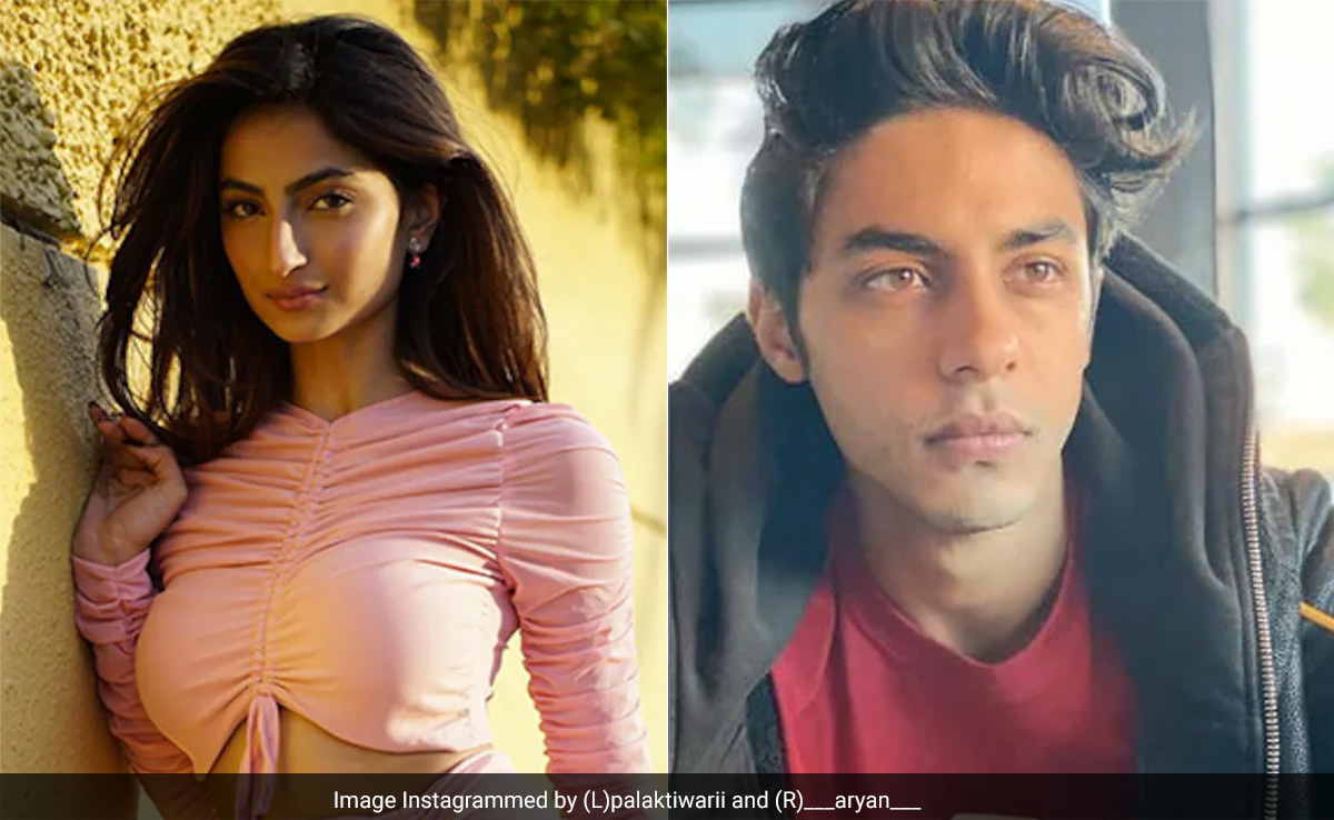 पलक तिवारी ने शाहरुख खान के बेटे आर्यन से जुड़े खोले कई राज, बोलीं- वह जैसा है, वैसा