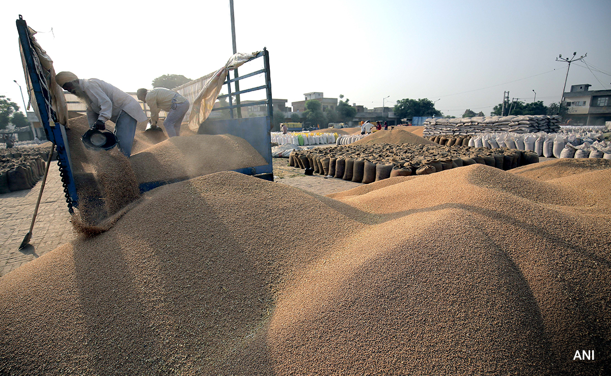 Centre Sells 18.09 Lakh Tonnes Wheat Through E-Auctions To Control Prices