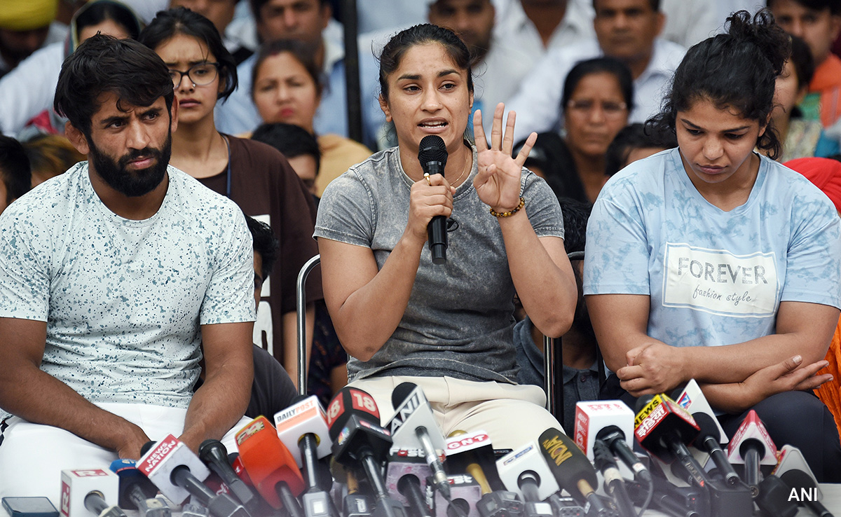 "Sister, I Request You Not To...": Wrestler Vinesh Phogat On Cousin's Tweet