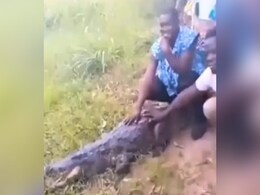 VIDEO: इसे कहते हैं आ बैल मुझे मार, मगरमच्छ के साथ फोटो खिंचवा रहे थे लोग, तभी पलट गई बाजी VIDEO: इसे कहते हैं आ बैल मुझे मार, मगरमच्छ के साथ फोटो खिंचवा रहे थे लोग, तभी पलट गई बाजी