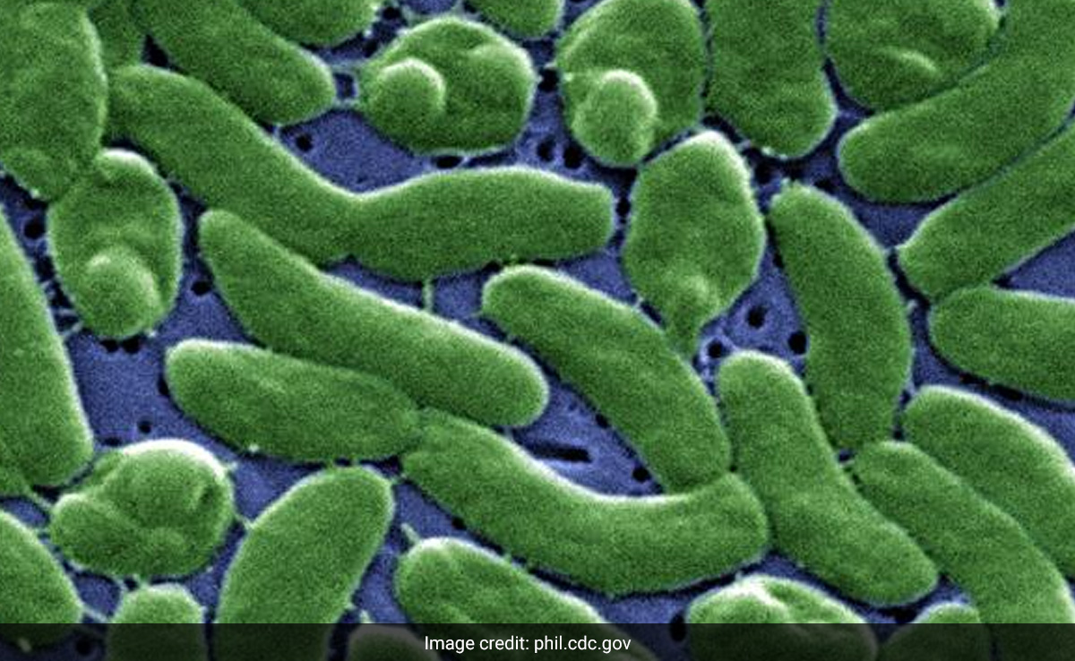 US Health Agency Issues Advisory For Rare, Life-Threatening Flesh-Eating Bacteria