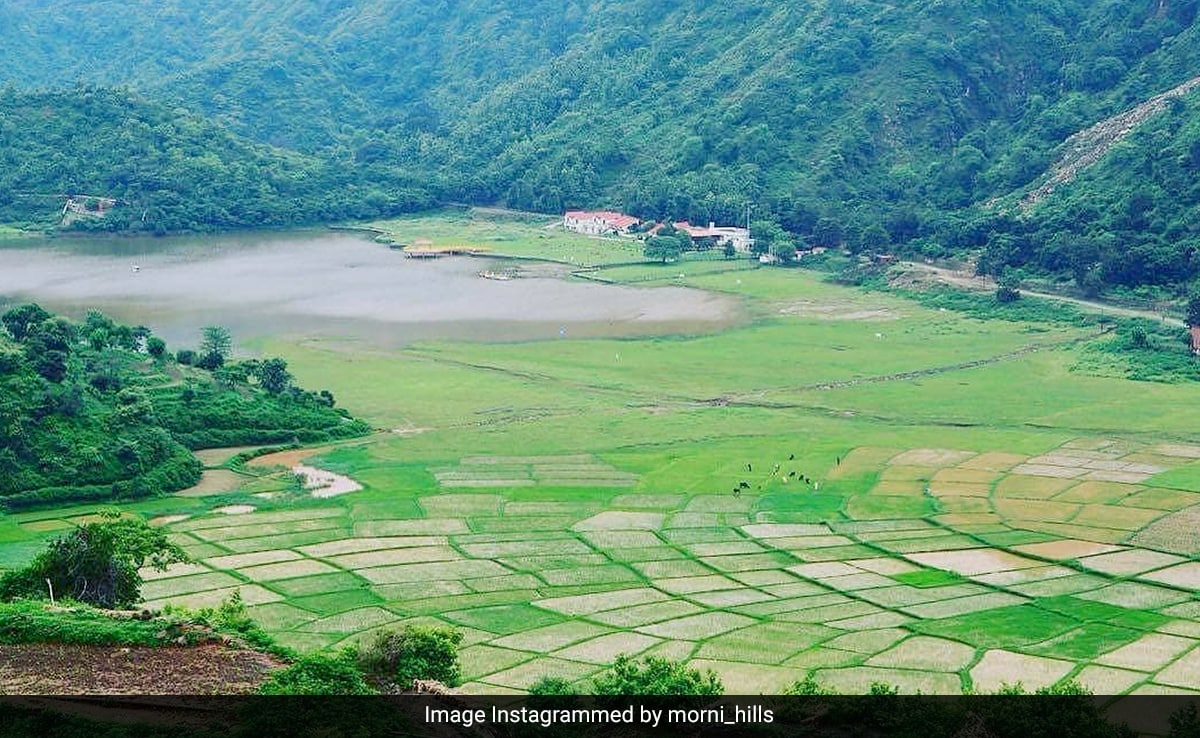 Latest and Breaking News on NDTV Latest and Breaking News on NDTV