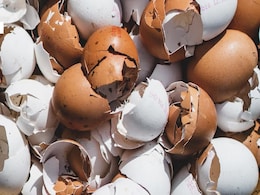 अंडे के छिलके बेकार समझकर फेंकने की ना करें गलती, घर के कई कामों में Eggshells को किया जा सकता है इस्तेमाल  अंडे के छिलके बेकार समझकर फेंकने की ना करें गलती, घर के कई कामों में Eggshells को किया जा सकता है इस्तेमाल