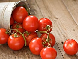 मध्य प्रदेश: रायसेन में 160 रूपये प्रति किलो बिक रहा है टमाटर