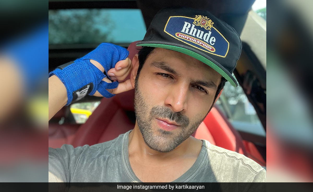 Kartik Aaryan Denies Report Of Bagging <i>Tezaab</i> Remake: "Not True"