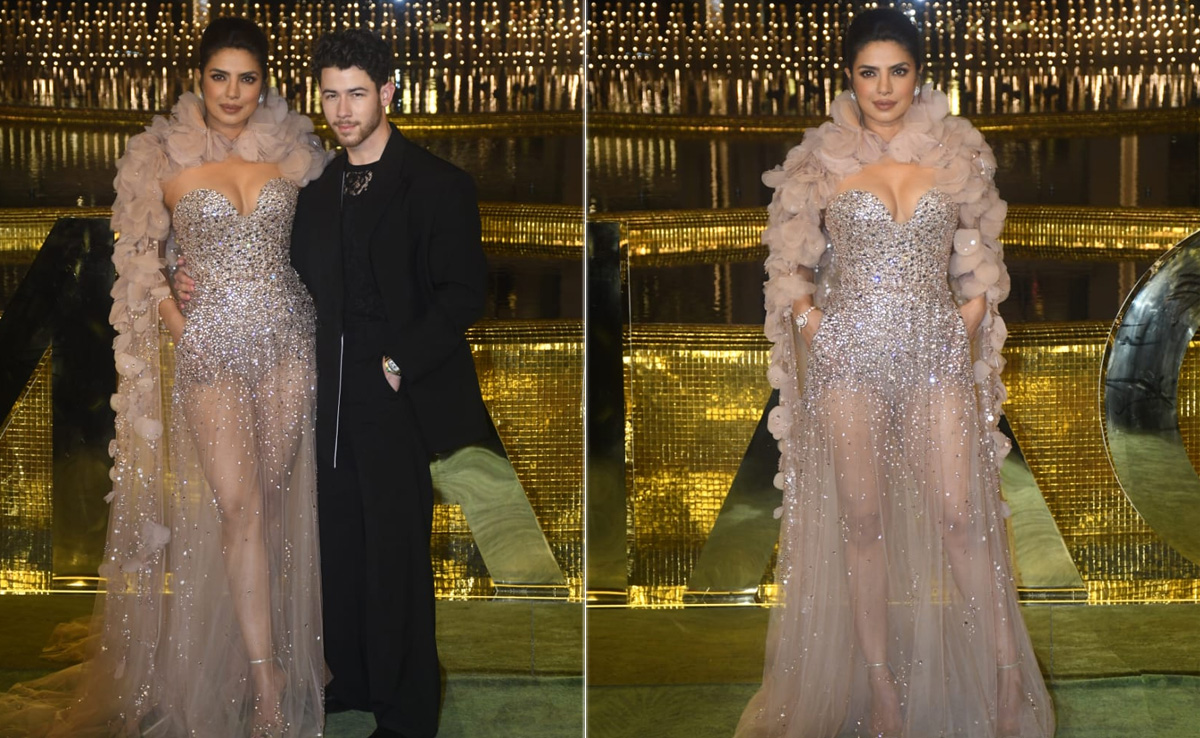 Priyanka Chopra's Sheer Gown Is Where Fashion Meets Functional Fabulously