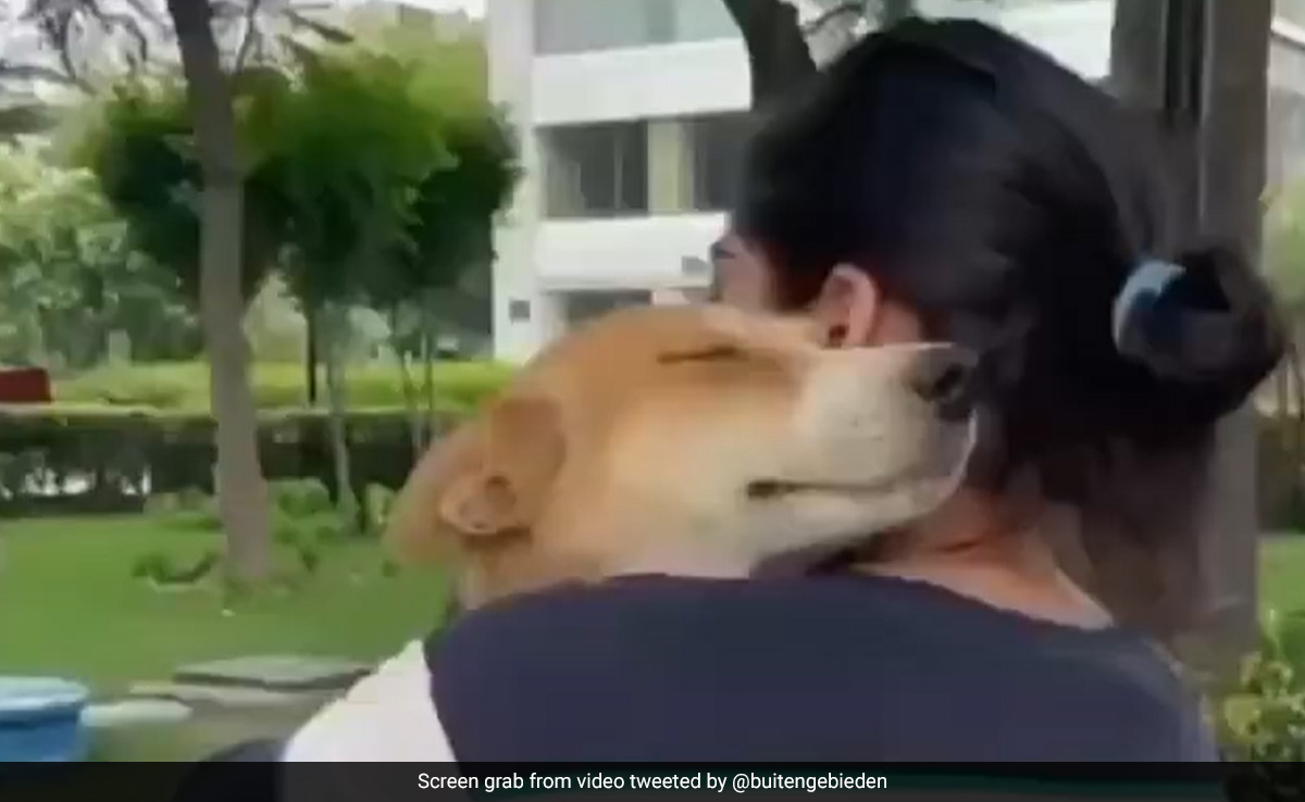 Video Of Dog In Full-Blown Hug In Owner's Lap Leaves Internet "Happy"