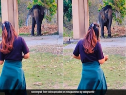 लड़की को डांस करते देख झूमने लगा हाथी, उतारने लगा नकल, लेकिन Video में दिखा कुछ ऐसा नाराज़ हो गए लोग लड़की को डांस करते देख झूमने लगा हाथी, उतारने लगा नकल, लेकिन Video में दिखा कुछ ऐसा नाराज़ हो गए लोग