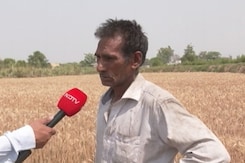 ज़्यादा दूर नहीं, कुछ बरसों में ही महसूस होने लगेगी अनाज की कमी ज़्यादा दूर नहीं, कुछ बरसों में ही महसूस होने लगेगी अनाज की कमी