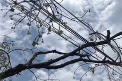 Assam: After Intense Heat, Temperatures Normalise Assam: After Intense Heat, Temperatures Normalise
