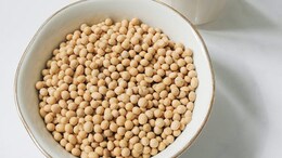 5 Best Protein-Rich Vegetarian Foods To Fuel Your Weight Loss Journey