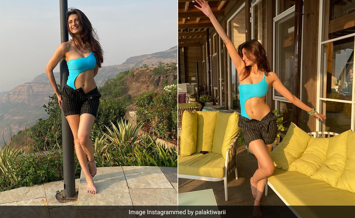 Our Summer Days Get Better With Palak Tiwari In A Blue Cutout Swimsuit