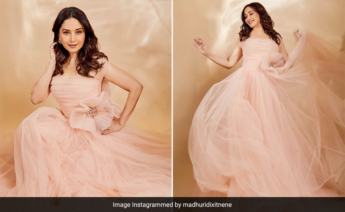 Madhuri Dixit In A Pink Tulle Gown Deserves Endless Fairytale Endings