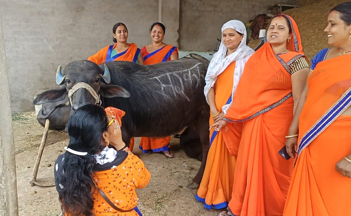 Thousands Of ASHA Workers On Strike In Madhya Pradesh, Demand Salary Hike