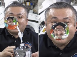 Astronaut's Fun Experiment With Gummy Bears And Water In Space Goes Viral Astronaut's Fun Experiment With Gummy Bears And Water In Space Goes Viral