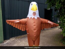 This British Zoo Is Recruiting Human "Seagull Deterrents" This British Zoo Is Recruiting Human "Seagull Deterrents"