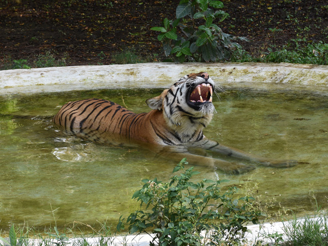 Top Headlines Of The Day: April 09, 2023