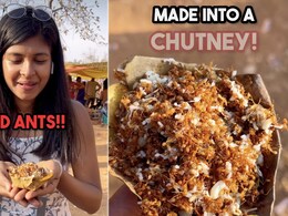 Viral Video: Blogger Tries Ant Chutney In Chhattisgarh, Internet Is Divided