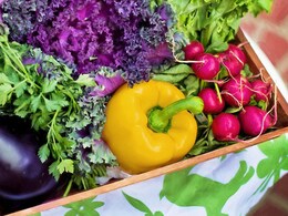 Feeling Bloated After Dinner? These 5 Vegetables Could Be To Blame Feeling Bloated After Dinner? These 5 Vegetables Could Be To Blame