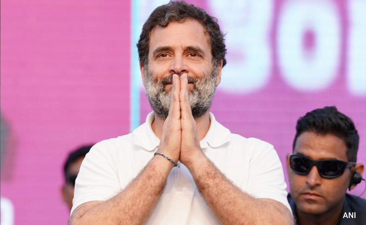 'Election Not About You': Rahul Gandhi On PM's 'Abused 91 Times' Charge