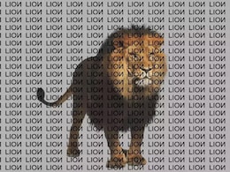 Optical Illusion: आंखों को धोखा देती इस तस्वीर में छिपी है जंगल के राजा LION की सही स्पेलिंग, 10 सेकंड का है समय Optical Illusion: आंखों को धोखा देती इस तस्वीर में छिपी है जंगल के राजा LION की सही स्पेलिंग, 10 सेकंड का है समय