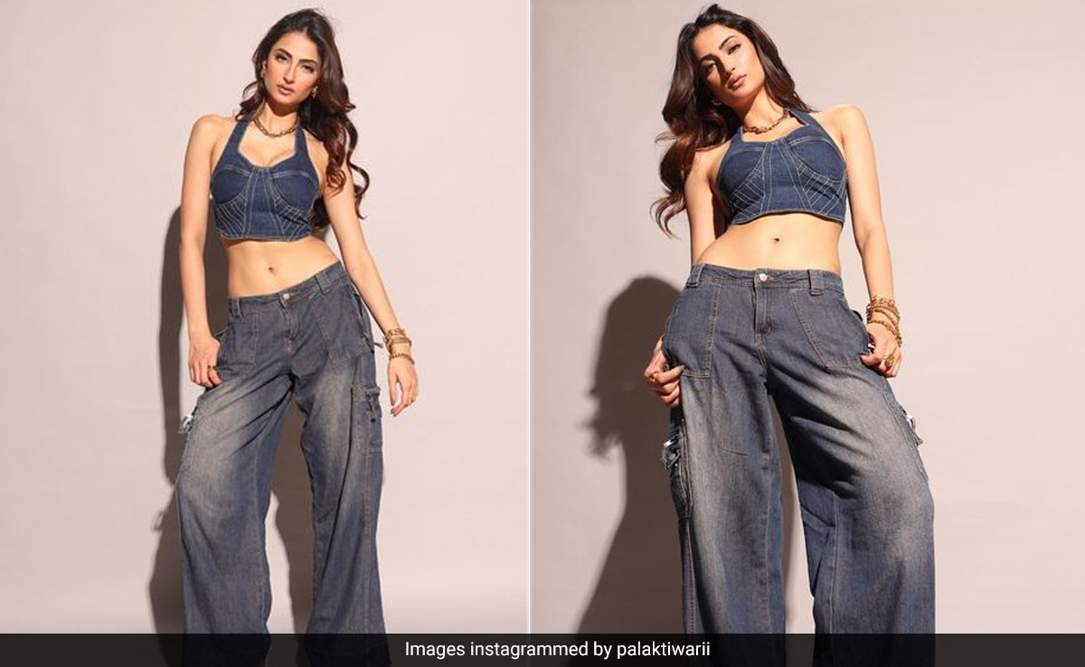 Palak Tiwari Gives Us A Daring Double Dose Of Denim In A Bustier And Cargo Jeans